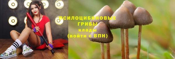 винт Баксан