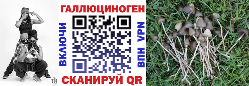 Галлюциногенные грибы MAGIC MUSHROOMS  купить наркоту  мега зеркало  Верхнеуральск 
